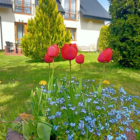 Guest house Dom Jamar - Jastrzebia Gora